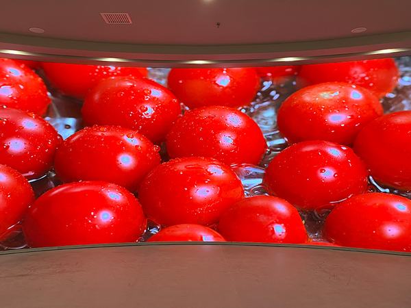 Màn hình LED trình chiếu tư liệu tại Nhà trưng bày Lưu trữ tỉnh Sơn Tây